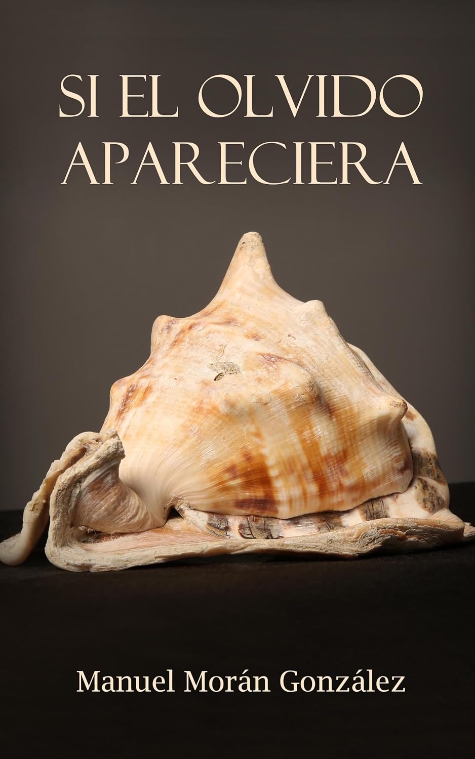 Portada de SI EL OLVIDO APARECIERA